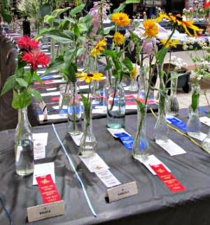 photo of SSM Hort Society Flower and Vegetable Show