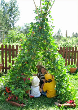 photo showing vertical gardening